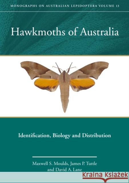 Hawkmoths of Australia: Identification, Biology and Distribution Maxwell S. Moulds James P. Tuttle David a. Lane 9781486302819 CSIRO Publishing