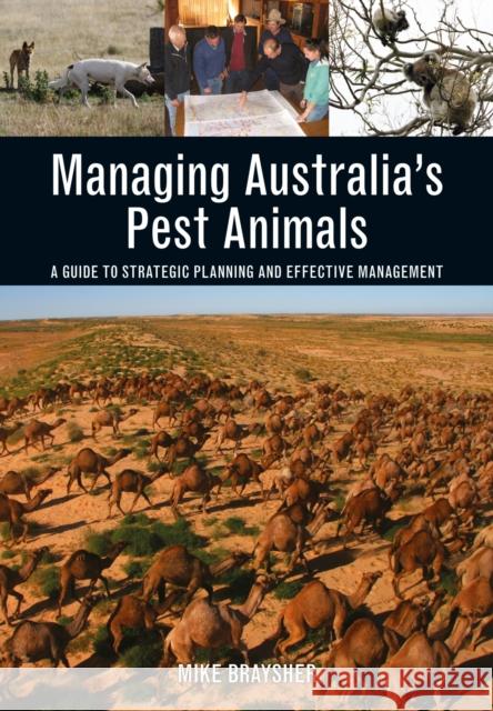 Managing Australia's Pest Animals: A Guide to Strategic Planning and Effective Management Mike Braysher 9781486304431 CSIRO Publishing