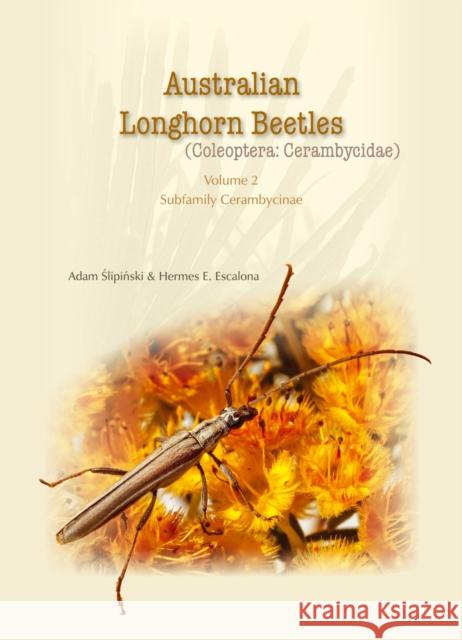 Australian Longhorn Beetles: (Coleoptera: Cerambycidae) Slipinski, Adam 9781486304585 CSIRO Publishing