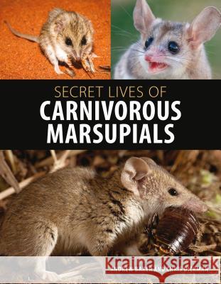 Secret Lives of Carnivorous Marsupials Andrew Baker Chris Dickman 9781486305148 CSIRO Publishing