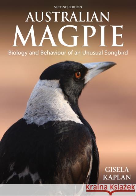 Australian Magpie: Biology and Behaviour of an Unusual Songbird Gisela Kaplan   9781486307241 CSIRO Publishing