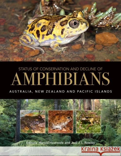 Status of Conservation and Decline of Amphibians: Australia, New Zealand, and Pacific Islands Harold Heatwole Jodi J. L. Rowley 9781486308385 CSIRO Publishing