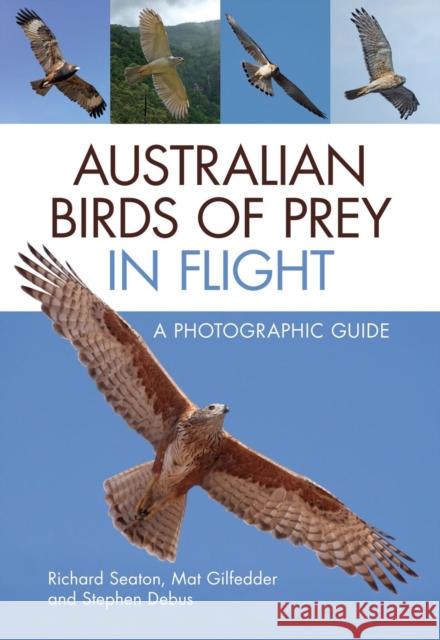 Australian Birds of Prey in Flight: A Photographic Guide Richard Seaton Mat Gilfedder Stephen Debus 9781486308668 CSIRO Publishing