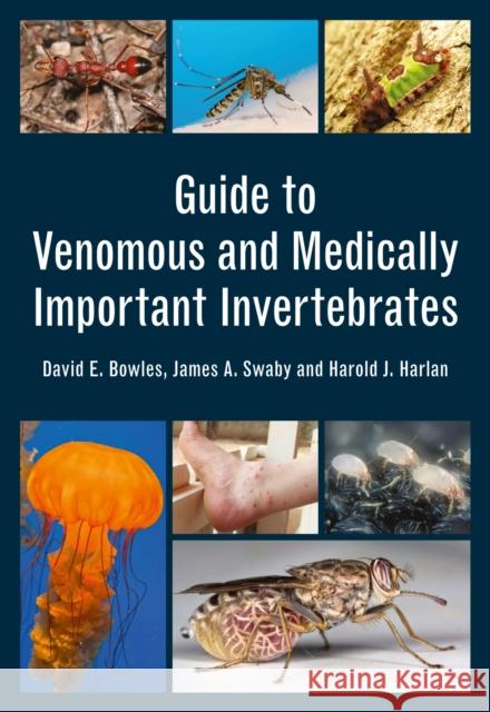 Guide to Venomous and Medically Important Invertebrates David Bowles James Swaby Harold Harlan 9781486308842 CSIRO Publishing