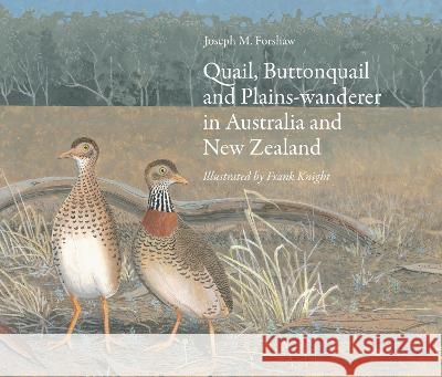 Quail, Buttonquail and Plains-Wanderer in Australia and New Zealand Joseph Forshaw Frank Knight 9781486312597 CSIRO Publishing