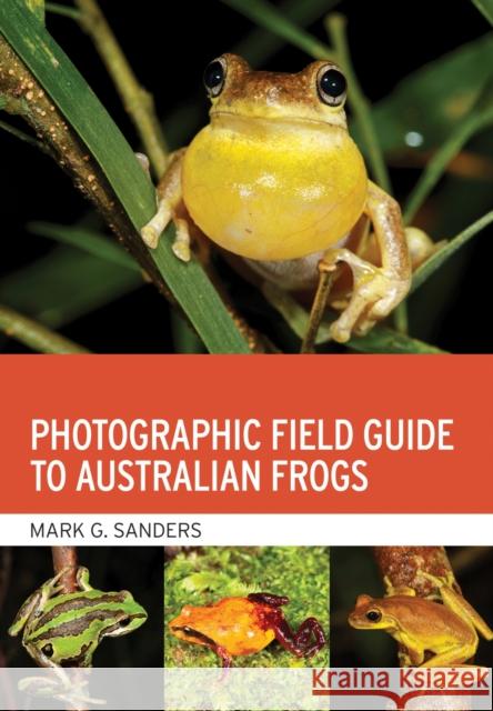 Photographic Field Guide to Australian Frogs Mark G. Sanders 9781486313259 CSIRO Publishing
