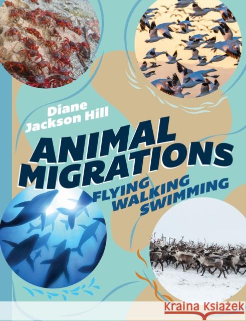 Animal Migrations: Flying, Walking, Swimming Diane Jackson Hill 9781486315413