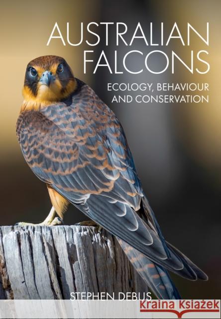 Australian Falcons: Ecology, Behaviour and Conservation Debus, Stephen 9781486315765 CSIRO Publishing