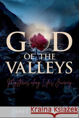 God of the Valleys: Mysteries along Life's Journey Janet Williamson   9781486622214 Word Alive Press