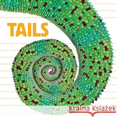 Tails Flowerpot Press 9781486713806 Flowerpot Press