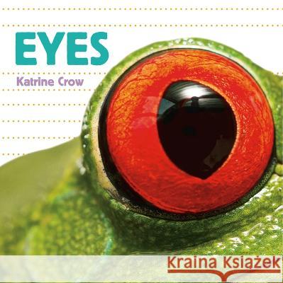 Eyes Katrine Crow 9781486726462 Flowerpot Press