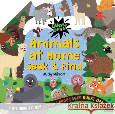 Animals at Home Judy Wilson 9781486729555 Flowerpot Press