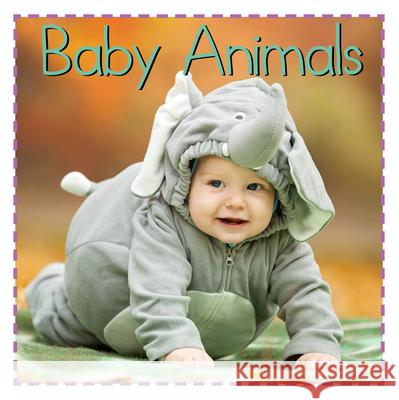 Baby Animals Flowerpot Press 9781486731794 Flowerpot Press