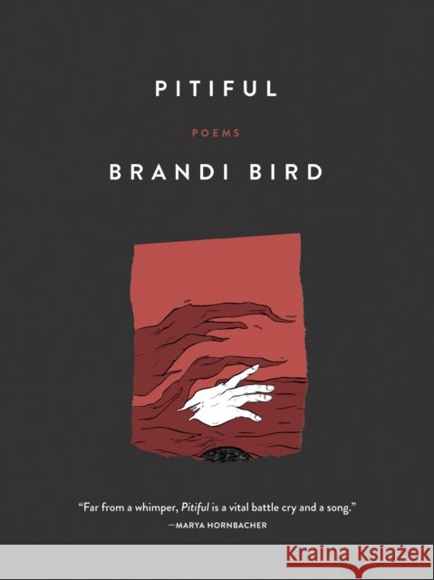 Pitiful: Poems Brandi Bird 9781487014087
