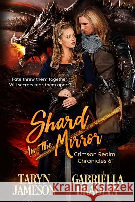 Shard in the Mirror Gabriella Bradley Taryn Jameson 9781487424633