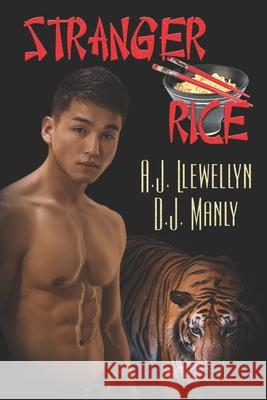 Stranger Rice D. J. Manly A. J. Llewellyn 9781487431976 Extasy Books