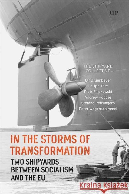 In the Storms of Transformation Peter Wegenschimmel 9781487550349 University of Toronto Press