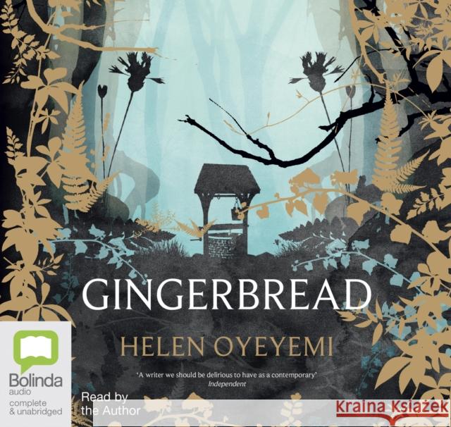 Gingerbread Helen Oyeyemi 9781489488404