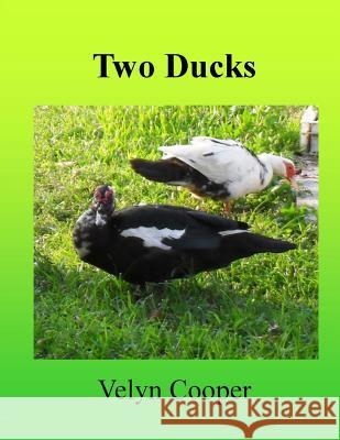 Two Ducks Velyn Cooper 9781489503220 Createspace