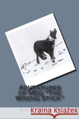 Adventures of Meg 