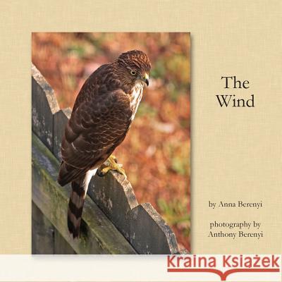 The Wind Anna Berenyi Anthony Berenyi 9781489535870 Createspace