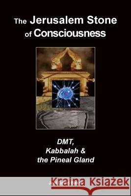 The Jerusalem Stone of Consciousness: DMT, Kabbalah and the Pineal Gland Bakst, Joel David 9781489543776 Createspace