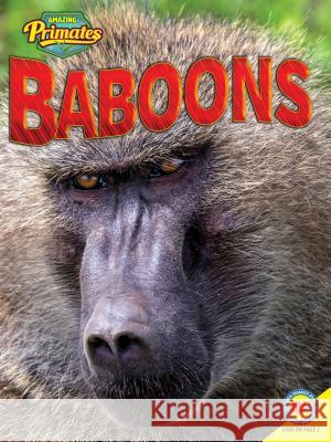 Baboons Alexis Roumanis 9781489628664 Av2 by Weigl