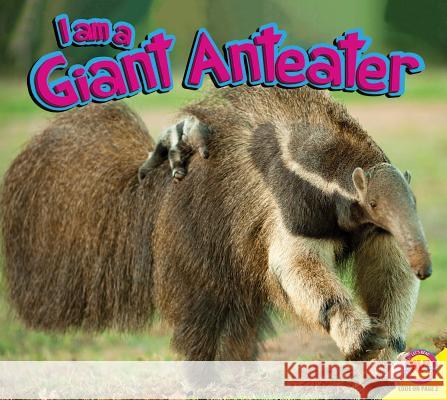 I Am a Giant Anteater Katie Gillespie 9781489653789 Av2 by Weigl