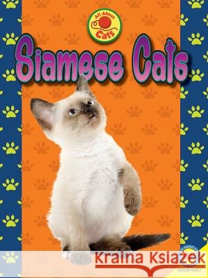 Siamese Cats Nancy Furstinger John Willis 9781489656353