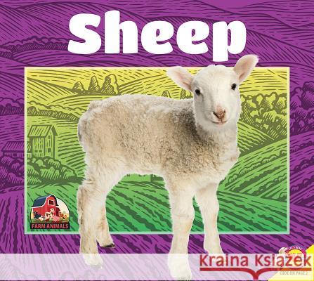 Sheep Jared Siemens 9781489695284