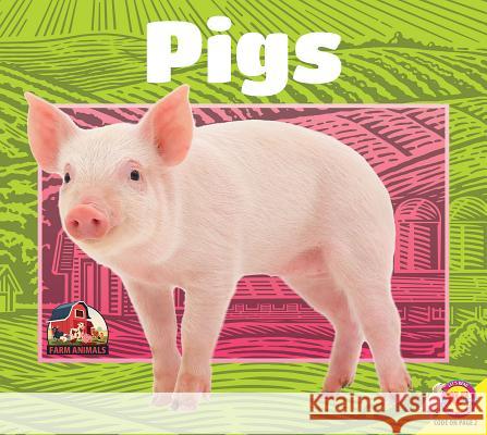 Pigs Jared Siemens 9781489695369