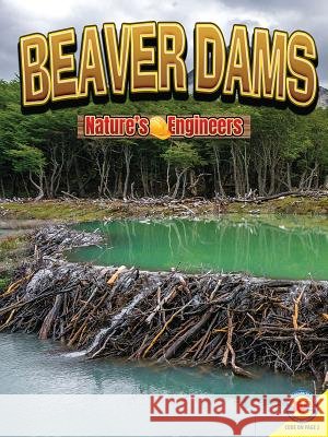Beaver Dams Nancy Furstinger 9781489697424 Weigl