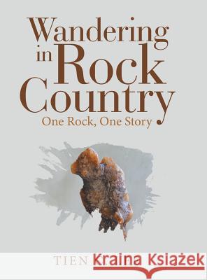 Wandering in Rock Country: One Rock, One Story Tien C Lee 9781489720245 Liferich