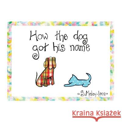 How the Dog Got His Name S Meloy-Lane 9781489742636