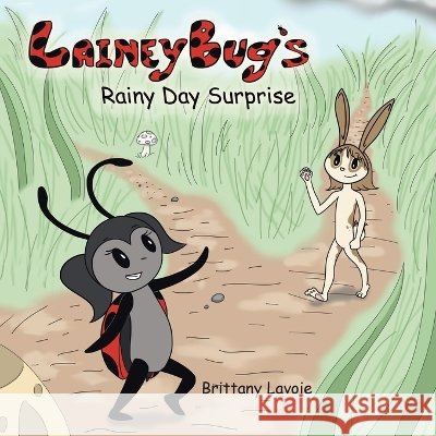 Lainey Bug's Rainy Day Surprise Brittany Lavoie 9781489753953