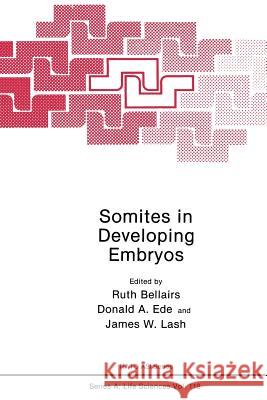 Somites in Developing Embryos Ruth Bellairs 9781489920157