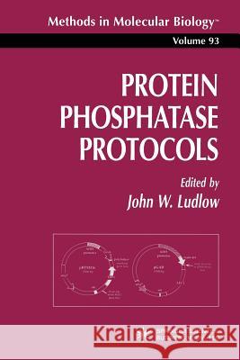 Protein Phosphatase Protocols John W. Ludlow 9781489942760 Humana Press