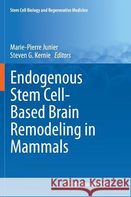 Endogenous Stem Cell-Based Brain Remodeling in Mammals Marie-Pierre Junier Steven G. Kernie 9781489978431 Springer