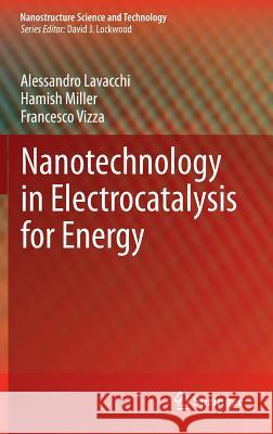 Nanotechnology in Electrocatalysis for Energy Alessandro Lavacchi Hamish Miller Francesco Vizza 9781489980588 Springer