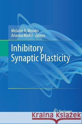 Inhibitory Synaptic Plasticity Melanie a Woodin Arianna Maffei  9781489981271