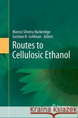 Routes to Cellulosic Ethanol Marcos Silveira Buckeridge Gustavo H. Goldman 9781489981608 Springer