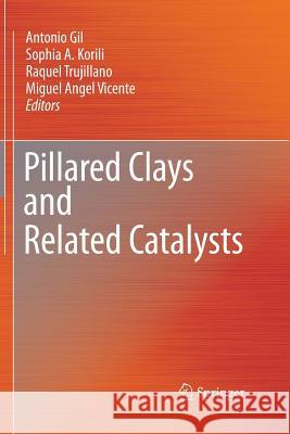 Pillared Clays and Related Catalysts Antonio Gil Sophia a Korili Raquel Trujillano 9781489982353 Springer