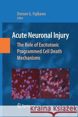 Acute Neuronal Injury: The Role of Excitotoxic Programmed Cell Death Mechanisms Fujikawa, Denson G. 9781489982858