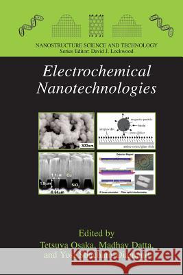 Electrochemical Nanotechnologies Tetsuya Osaka (University of Tokyo, Japa Madhav Datta (Cooligy, Inc., Mountain Vi Yosi Shacham-Diamand 9781489983251 Springer