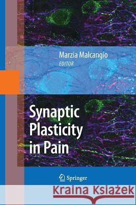 Synaptic Plasticity in Pain Marzia Malcangio 9781489983664 Springer
