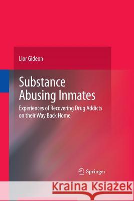 Substance Abusing Inmates: Experiences of Recovering Drug Addicts on Their Way Back Home Gideon, Lior 9781489985217 Springer