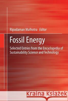 Fossil Energy: Selected Entries from the Encyclopedia of Sustainability Science and Technology Malhotra, Ripudaman 9781489985361 Springer