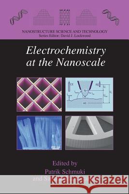 Electrochemistry at the Nanoscale Patrik Schmuki Sannakaisa Virtanen 9781489986603