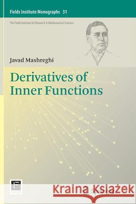 Derivatives of Inner Functions  9781489989413 Not Avail