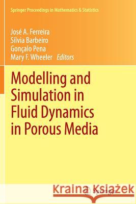 Modelling and Simulation in Fluid Dynamics in Porous Media Jose a. Ferreira Silvia Barbeiro Goncalo Pena 9781489989482 Springer